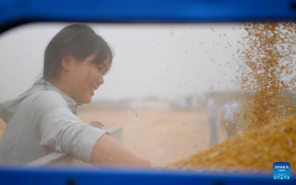 Pic story: female operator aids villagers with combine harvester