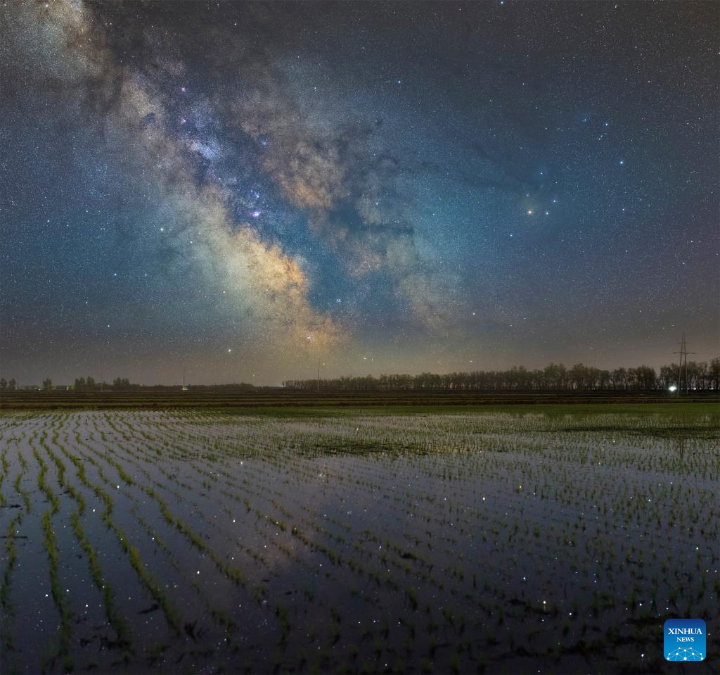 Night view of paddy fields in Heilongjiang, NE China