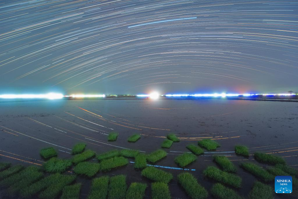 Night view of paddy fields in Heilongjiang, NE China