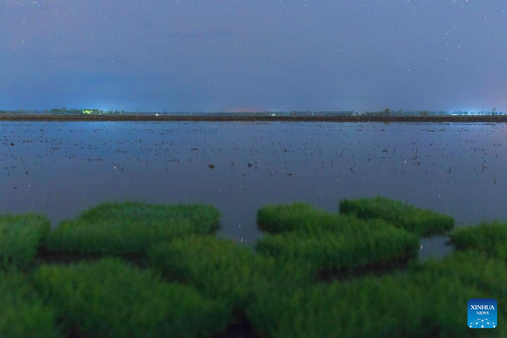 Night view of paddy fields in Heilongjiang, NE China