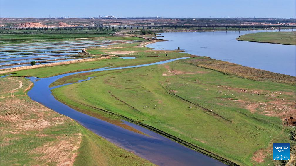 Scenery of Yellow River in Yinchuan, NW China