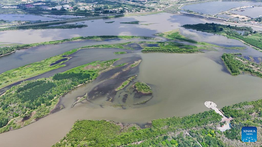 Aerial view of Heilongjiang Taiyangdao National Wetland Park