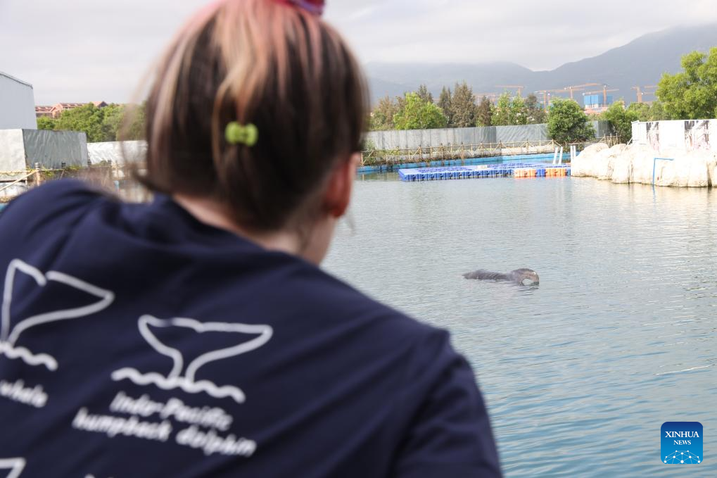 Pic story: deep bond between French scientist and Chinese white dolphins