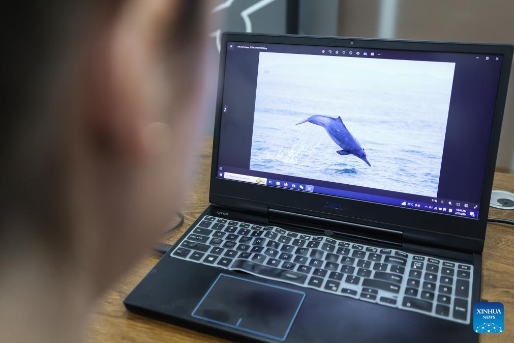 Pic story: deep bond between French scientist and Chinese white dolphins