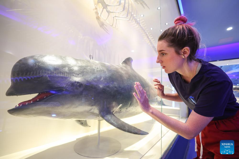 Pic story: deep bond between French scientist and Chinese white dolphins