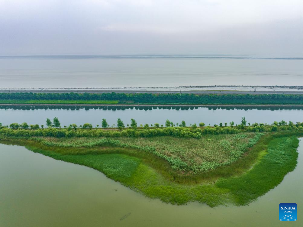 Scenery of tidal flat wetland along Qiantang River in Hangzhou