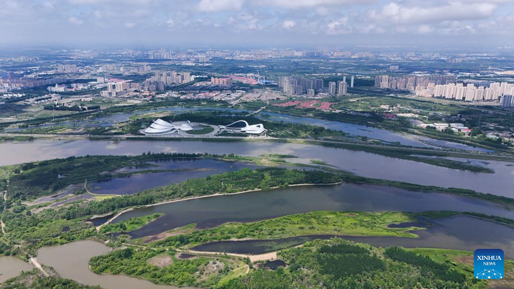 Aerial view of Heilongjiang Taiyangdao National Wetland Park