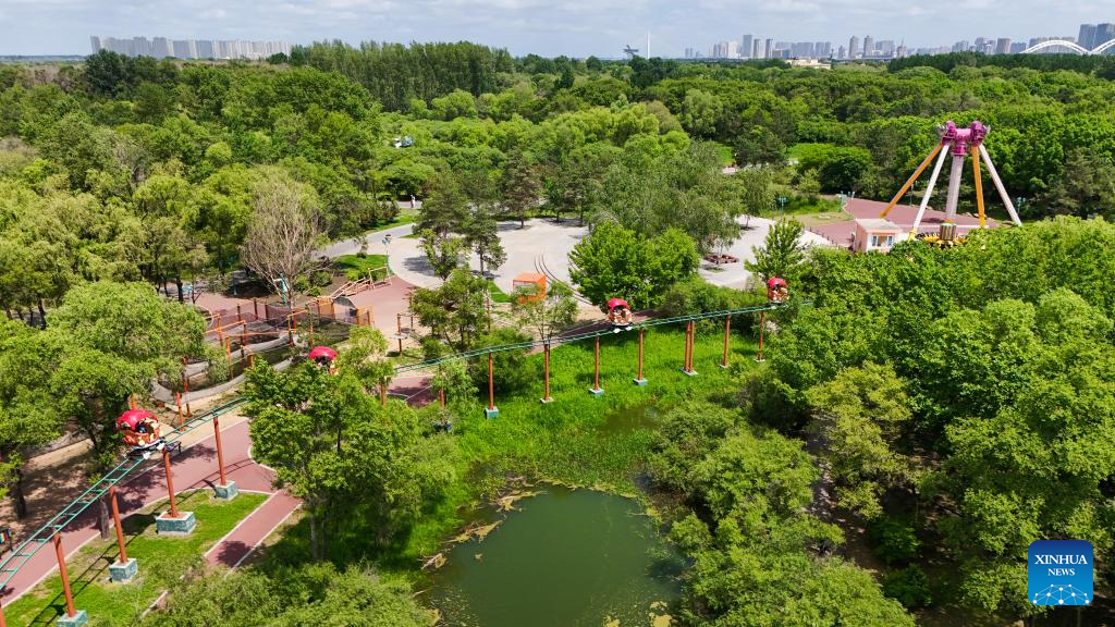 Aerial view of Heilongjiang Taiyangdao National Wetland Park