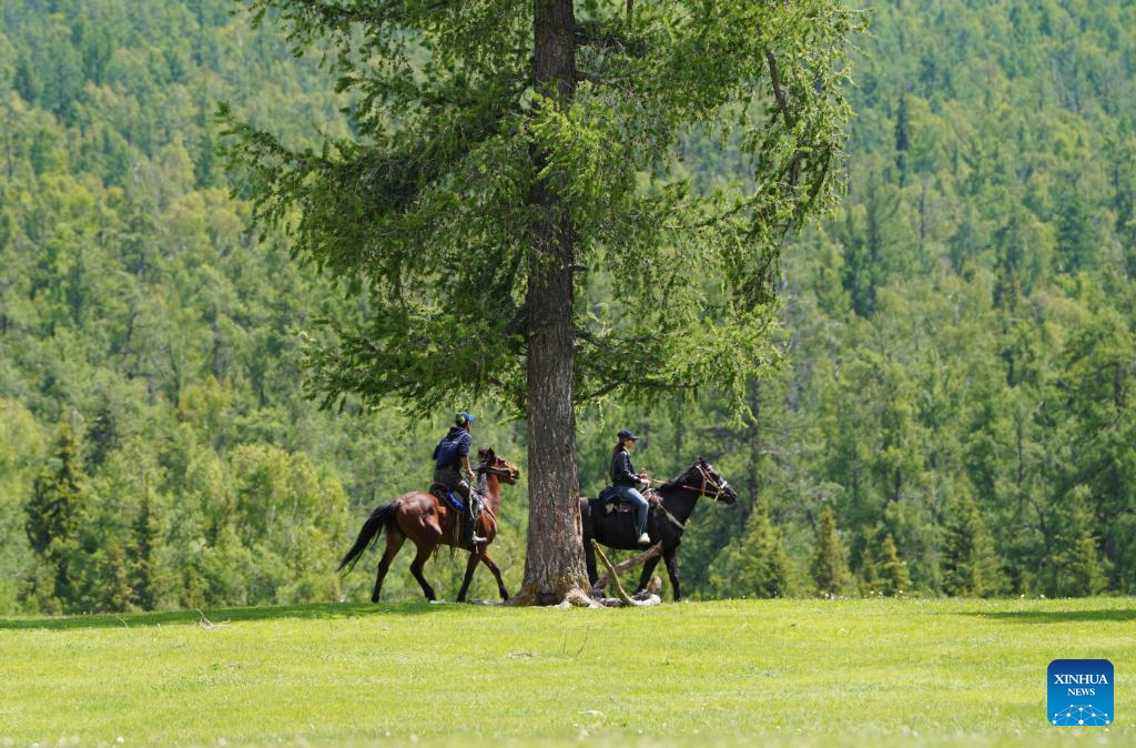 China's Altay sees booming tourism