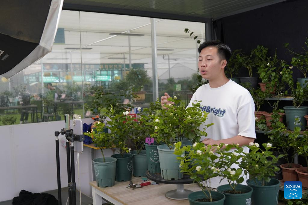 Across China: Jasmine city blossoms through e-commerce businesses