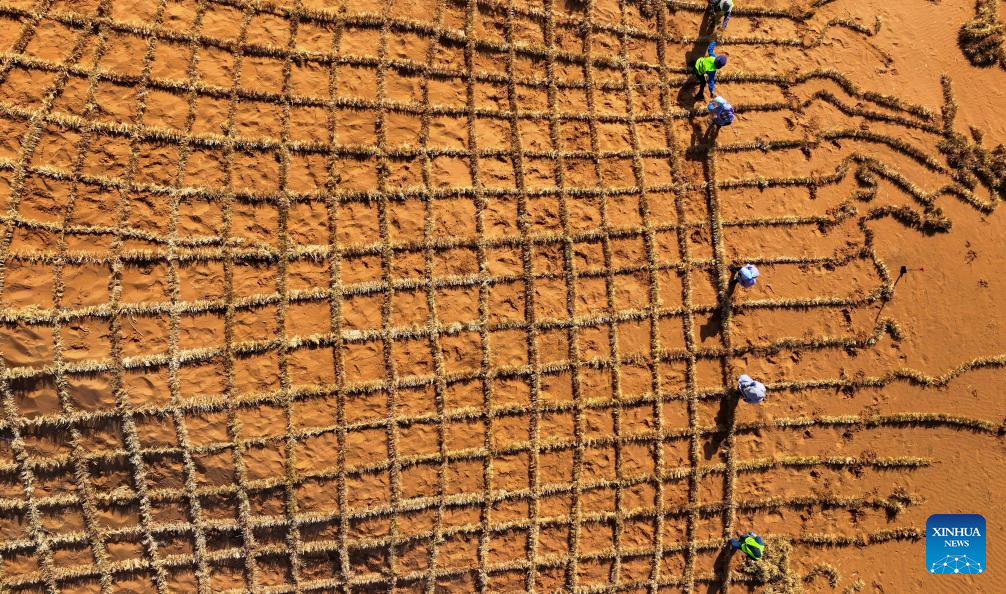 Innovative tool and technology contribute to sand control in NW China