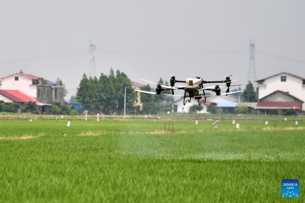 Green rice planting and smart farming propel agricultural development in China