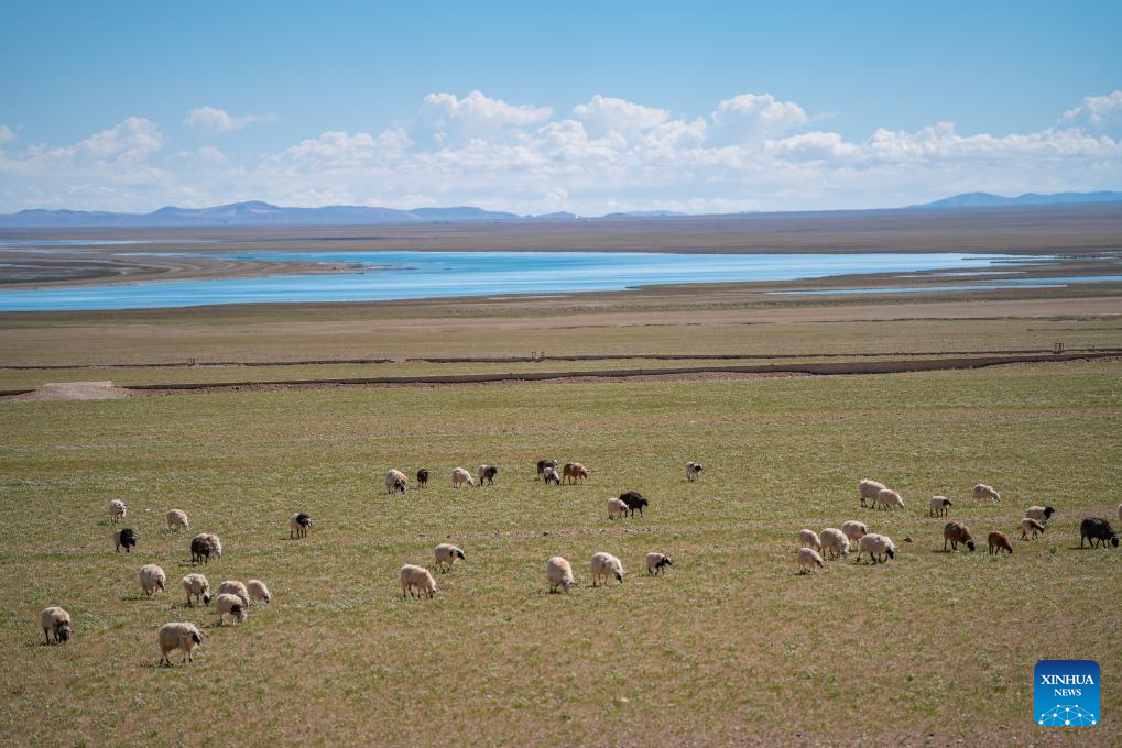 Scenery of Serling Tso Lake in SW China's Xizang