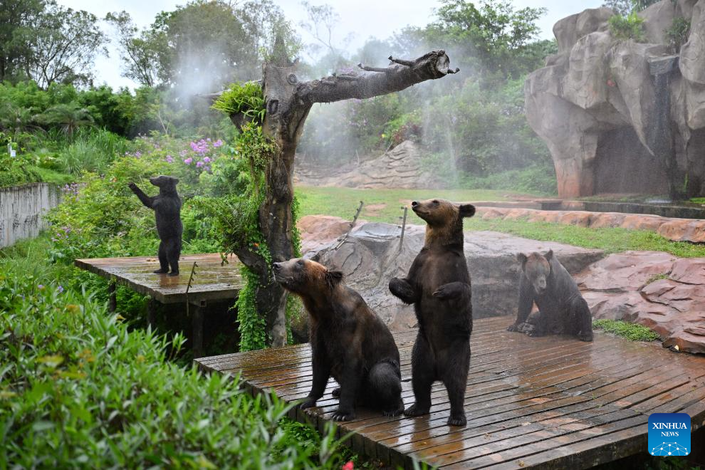 Animals stay cool as heat waves hit Hainan