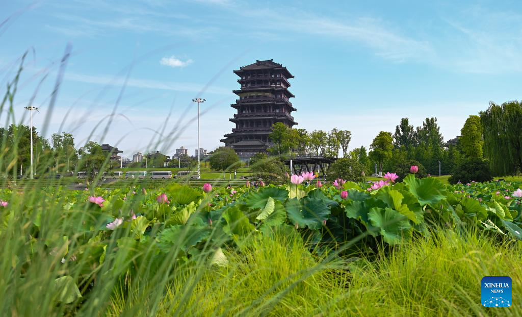 China's Hanzhong strengthens ecological protection of Hanjiang River's source, wetlands