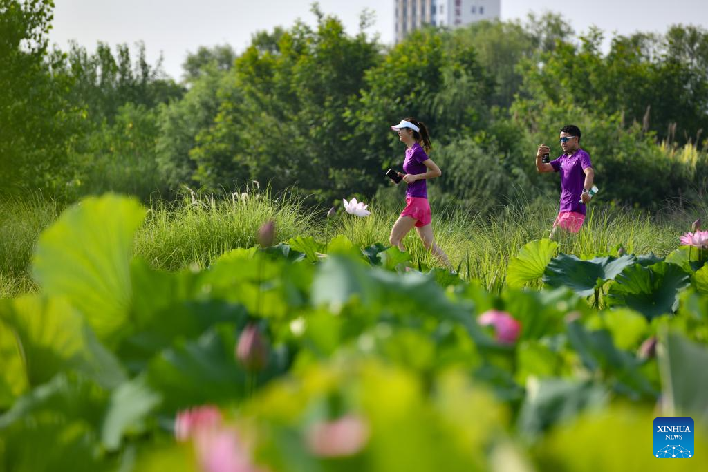 China's Hanzhong strengthens ecological protection of Hanjiang River's source, wetlands