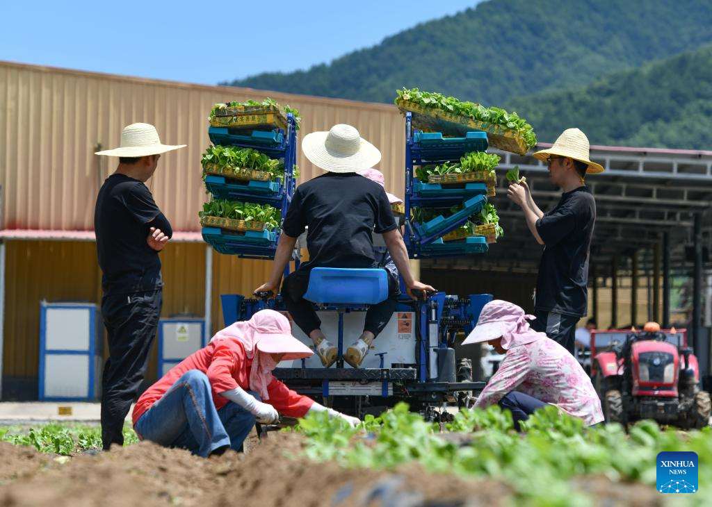 China's Baoji promotes green development of agriculture