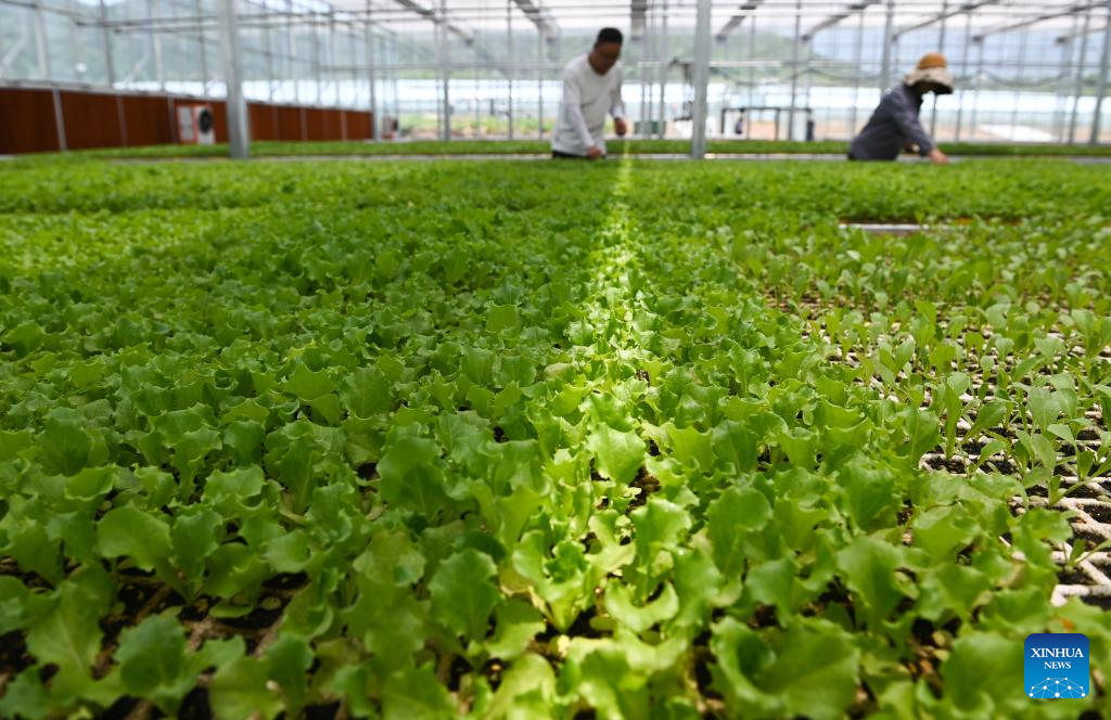 China's Baoji promotes green development of agriculture