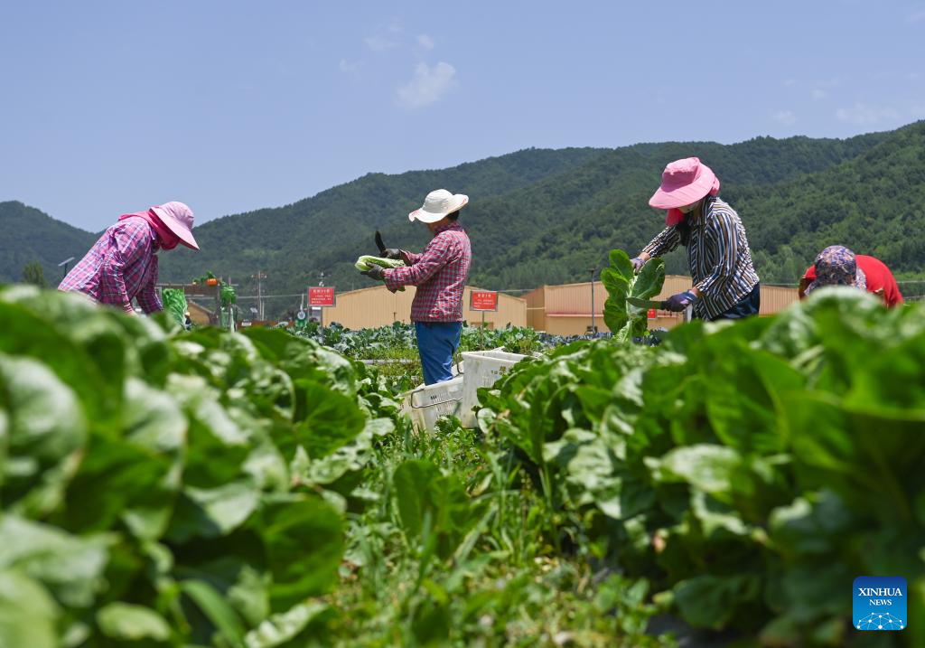 China's Baoji promotes green development of agriculture