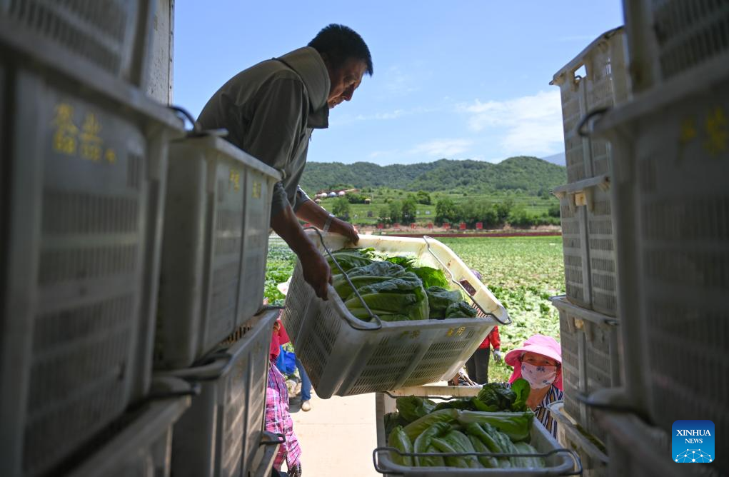 China's Baoji promotes green development of agriculture