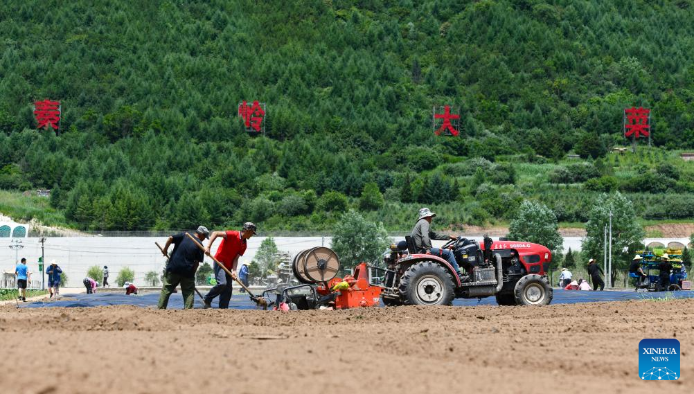 China's Baoji promotes green development of agriculture