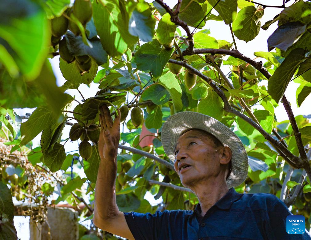 China's Baoji promotes green development of agriculture