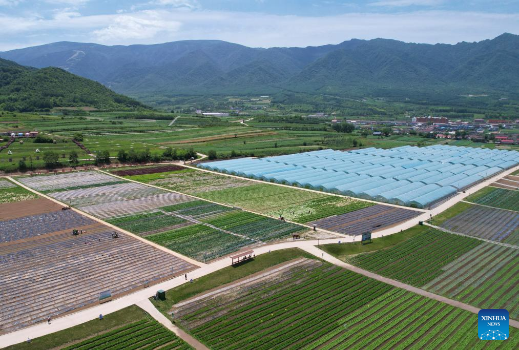 China's Baoji promotes green development of agriculture