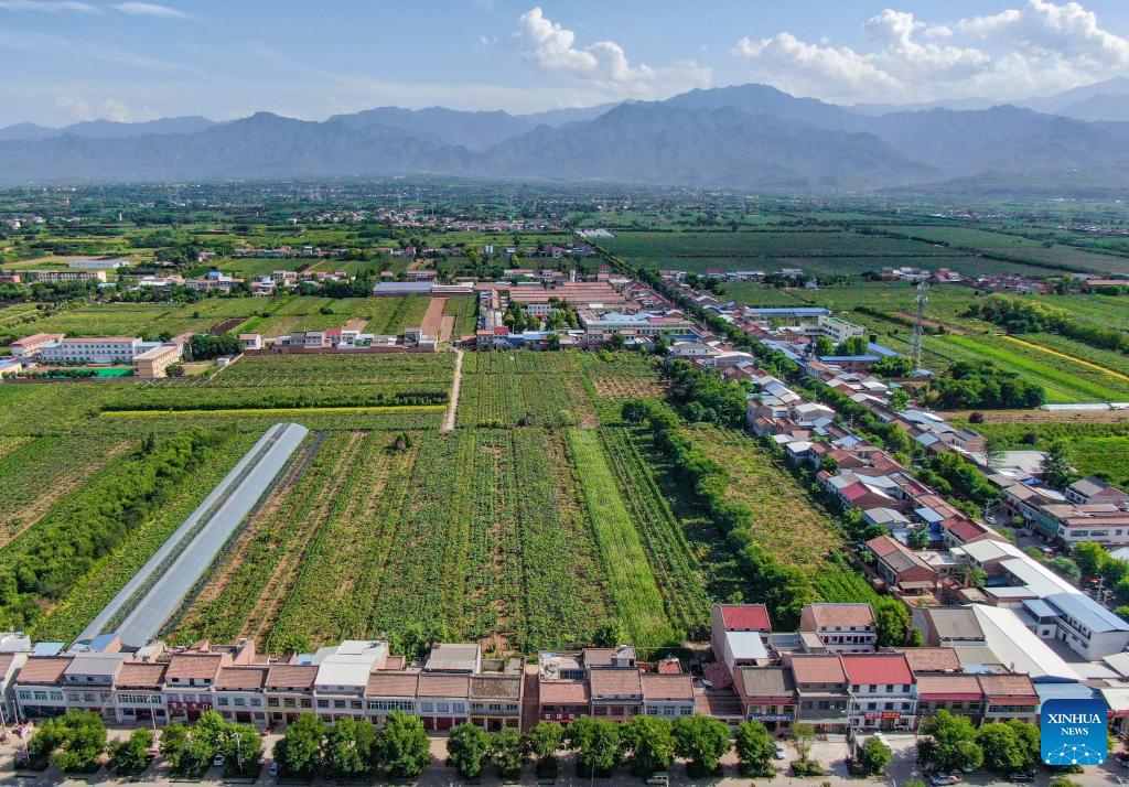 China's Baoji promotes green development of agriculture