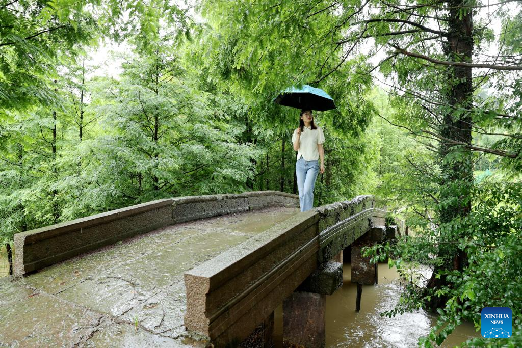 Ancient stone bridges under well protection in east China's Zhejiang