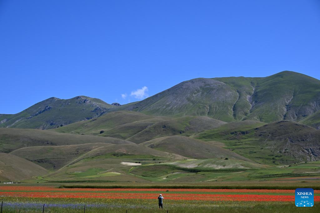 In pics: lentil fields in Italy