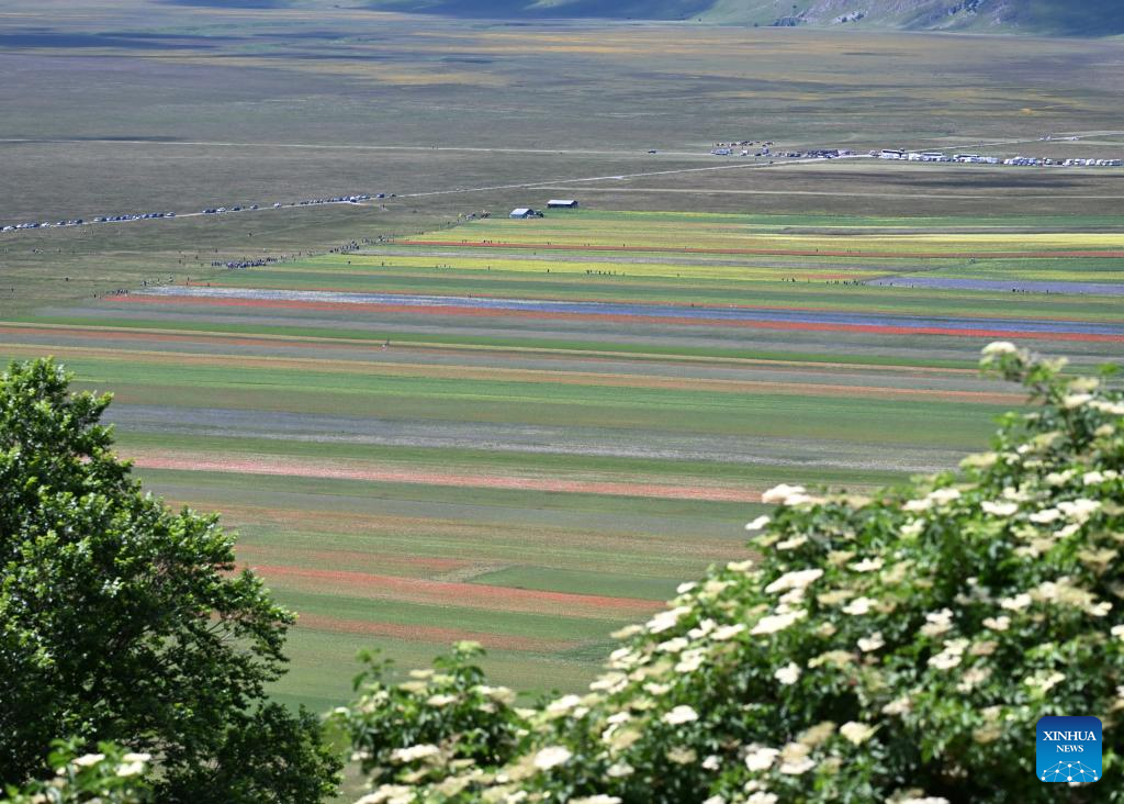 In pics: lentil fields in Italy