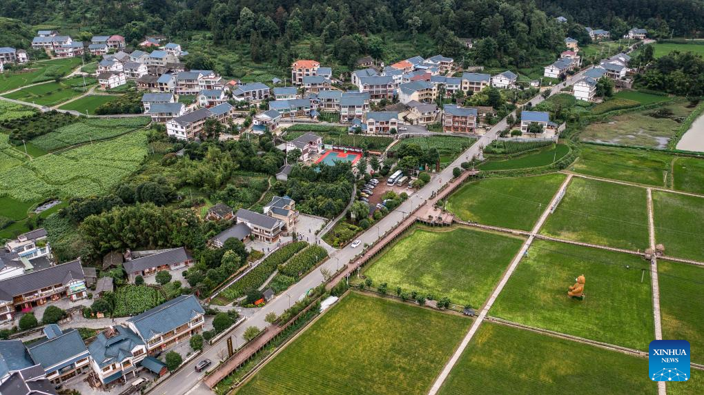 Rural road network in Guizhou significantly improved in past decade