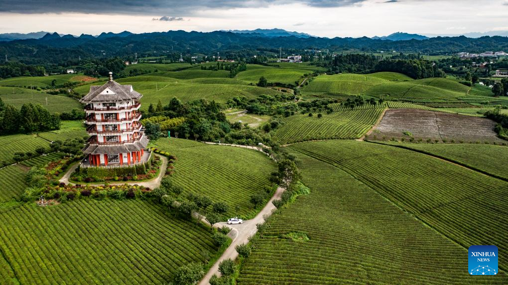 Rural road network in Guizhou significantly improved in past decade