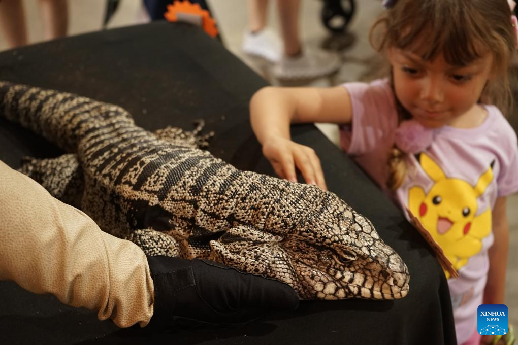 Pet fair held in California, U.S.