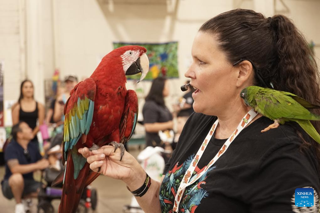 Pet fair held in California, U.S.