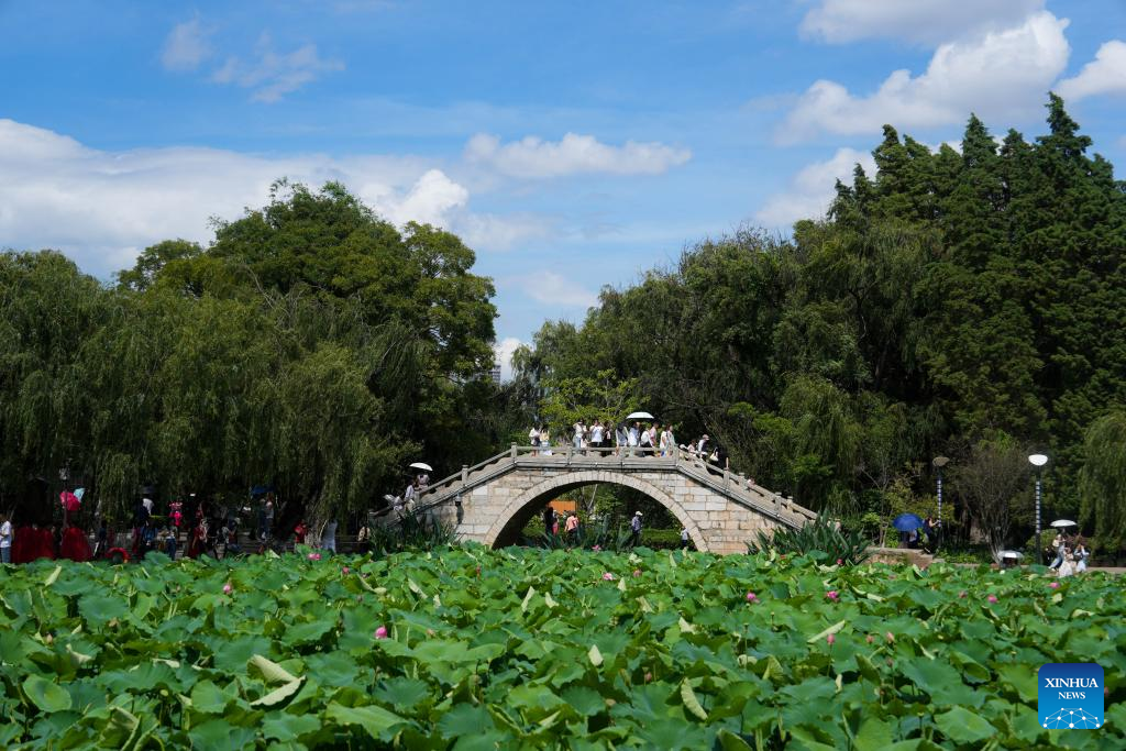 Visitors enjoy lotus flowers at Daguan Park in Kunming