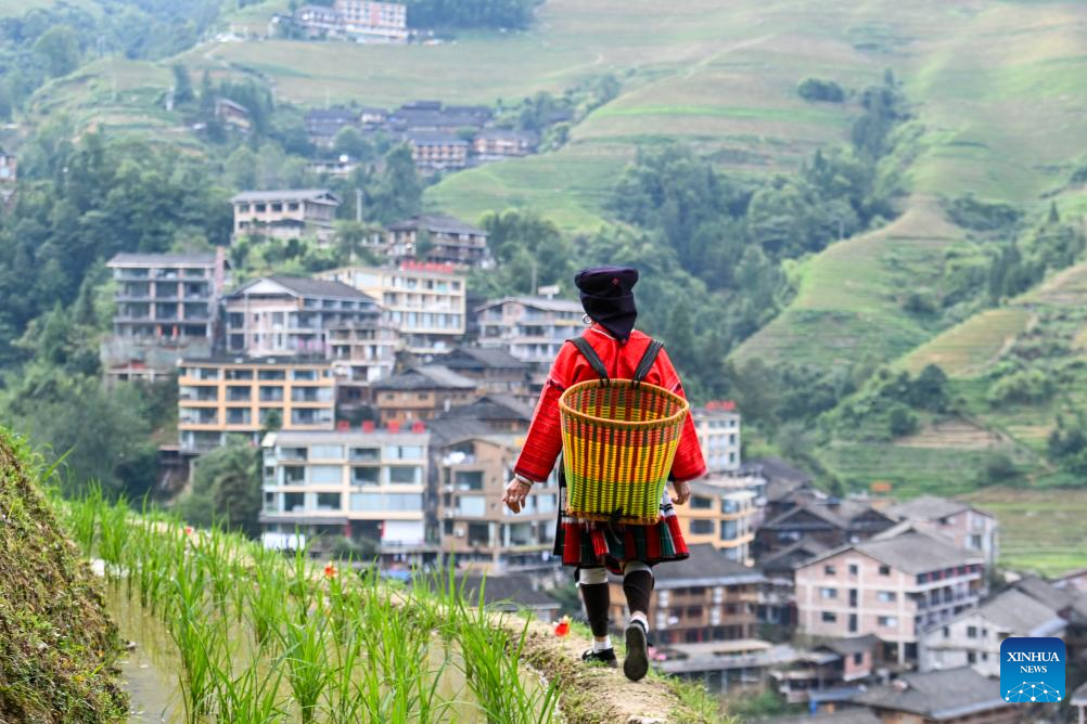 Homestay service burgeons at Dazhai Village in S China