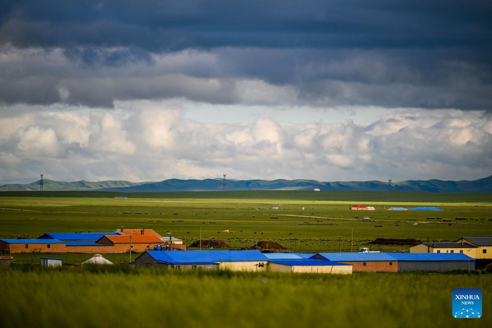 Scenery of grassland in north China's Inner Mongolia