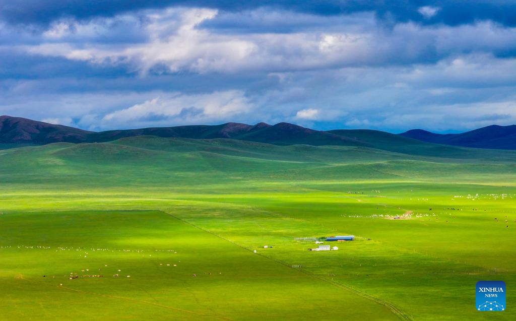 Scenery of grassland in north China's Inner Mongolia