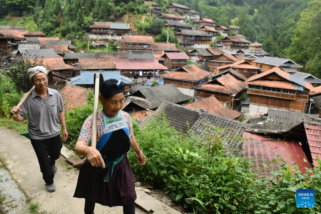 Miao ethnic group hamlet in China promotes rural vitalization for further development