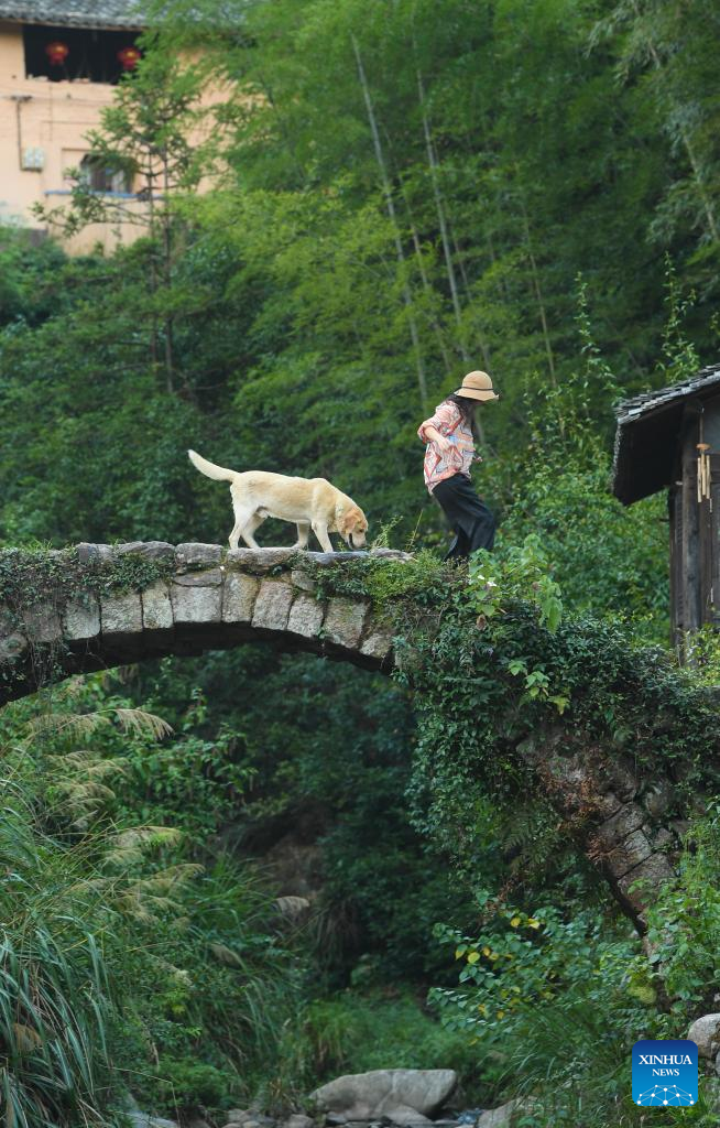 Village in E China makes efforts to attract young talents to start businesses