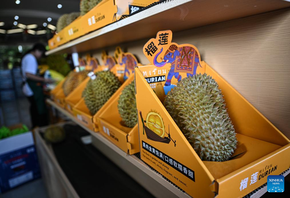 Durian industry promotes rural revitalization in south China