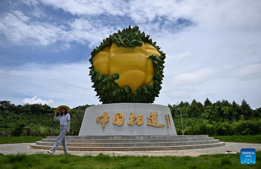 Durian industry promotes rural revitalization in south China