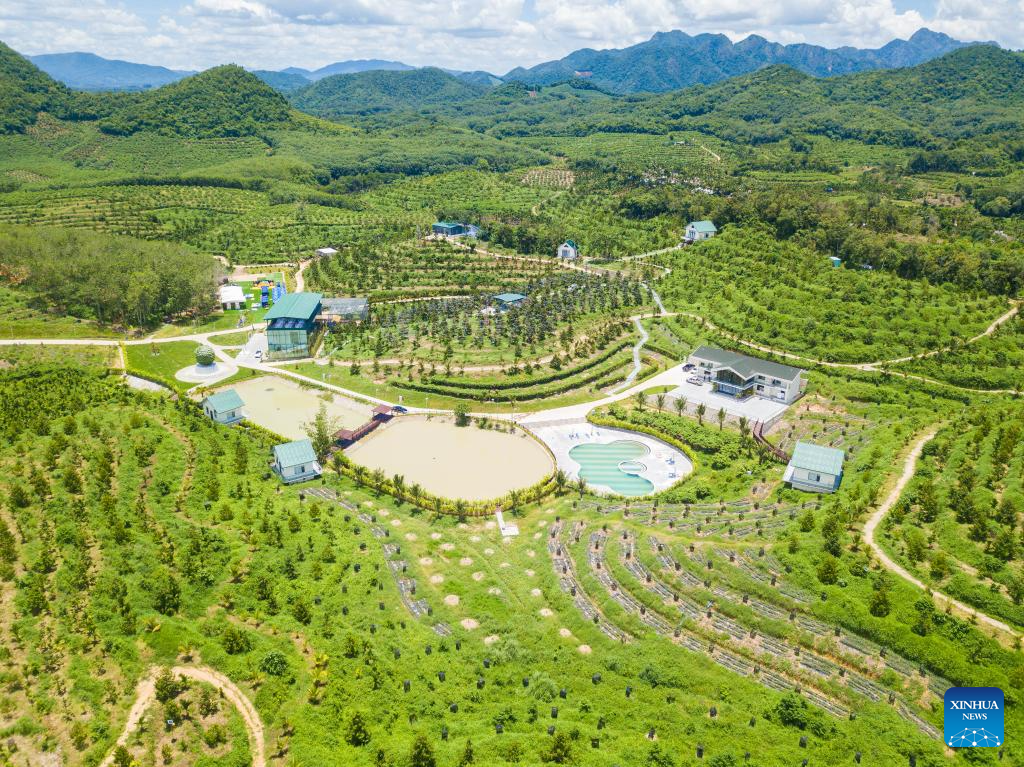 Durian industry promotes rural revitalization in south China