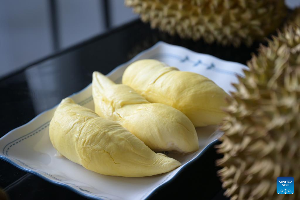 Durian industry promotes rural revitalization in south China