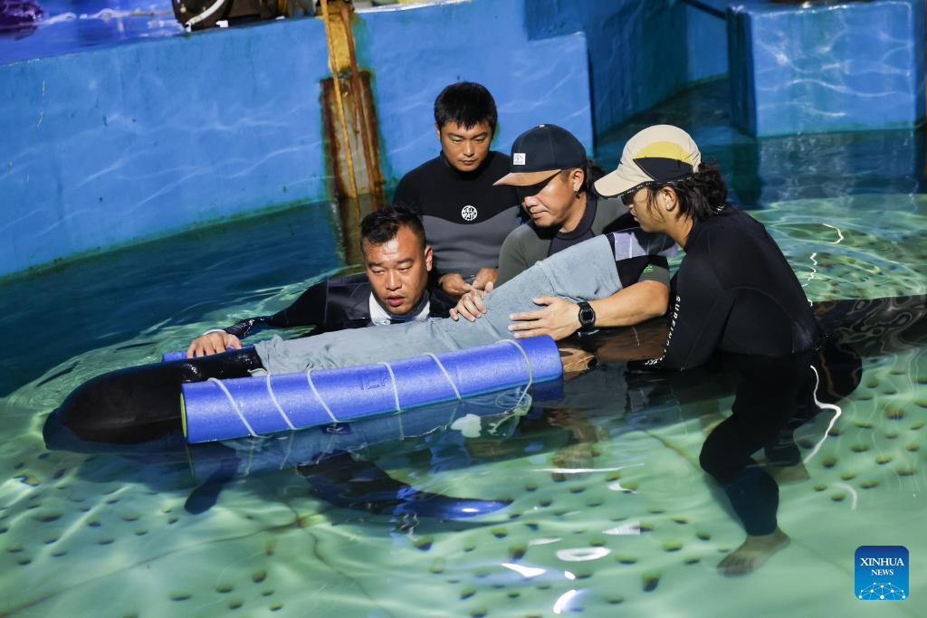 Stranded short-finned pilot whale under meticulous care in S China