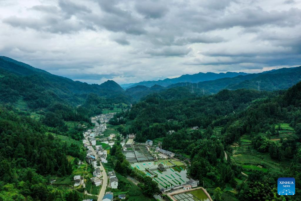 Quyang Village develops cold-water fish breeding in Chongqing