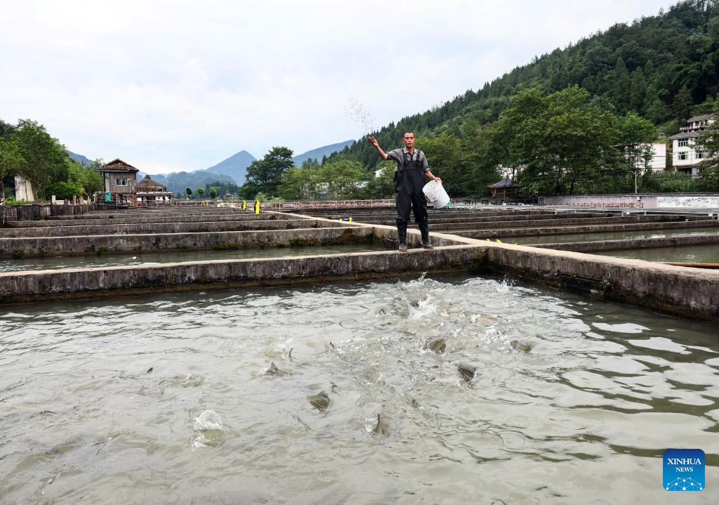 Quyang Village develops cold-water fish breeding in Chongqing