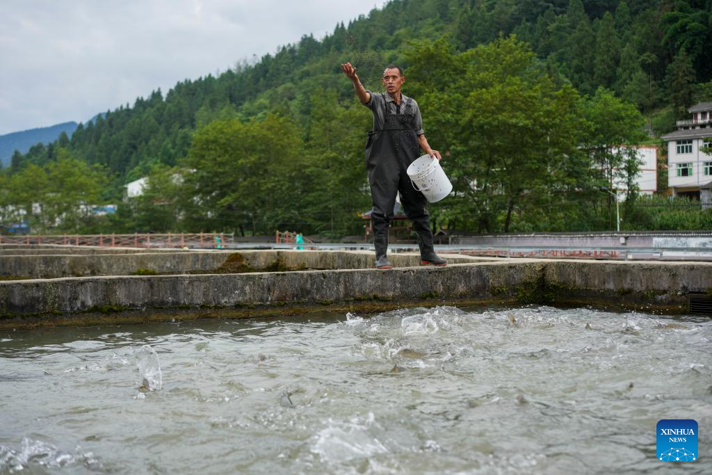 Quyang Village develops cold-water fish breeding in Chongqing