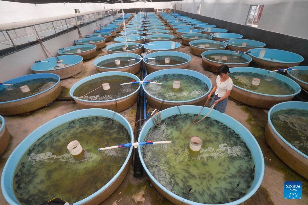 Quyang Village develops cold-water fish breeding in Chongqing